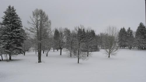 Ėriškių parkas žiemą